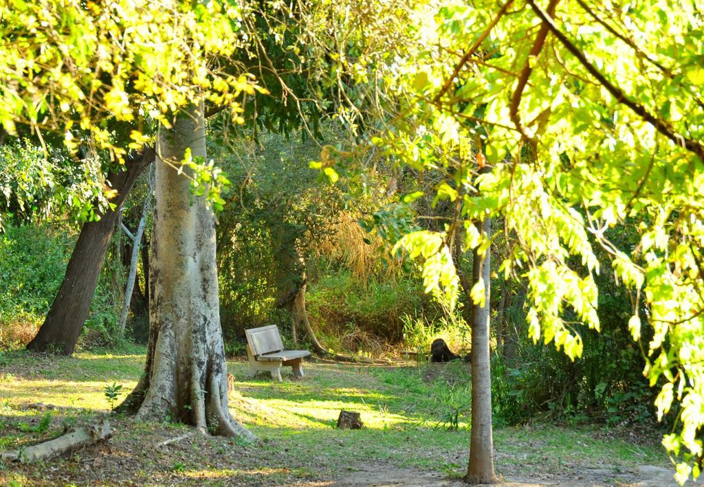Komati River Chalets Komatipoort Εξωτερικό φωτογραφία